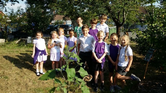 Evendons Primary School gets 'Eco School' Green Flag Accreditation